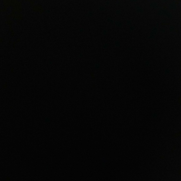 Meet your Posher, Abby - Picture 1 of 1